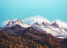 特朗普：没有必要对伊朗采取地面军事行动